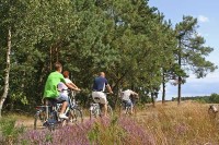 Utrechter Hügelrücken Holland