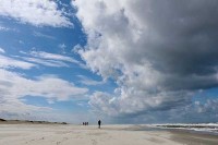 Watteninsel Schiermonnikoog Niederlande