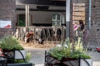 Landhof Hotel Restaurant in Holland