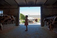 Landhotel in Holland