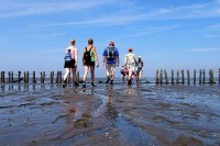Hotel Waddenweelde ist der offizielle Startpunkt von Wattwandern Pieterburen Holland